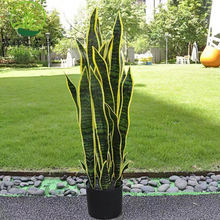 ���ڹ��� �������Ի�Ƥ�m �߷�ֲ���z�~�٘������m �҃ȾG���[��