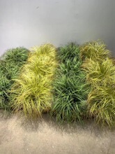 �����Ѳ��b[�����JȔ�ݽ�z̦�ݼٲ݅����~�ݶ��ľ�ݾGֲ�쾰