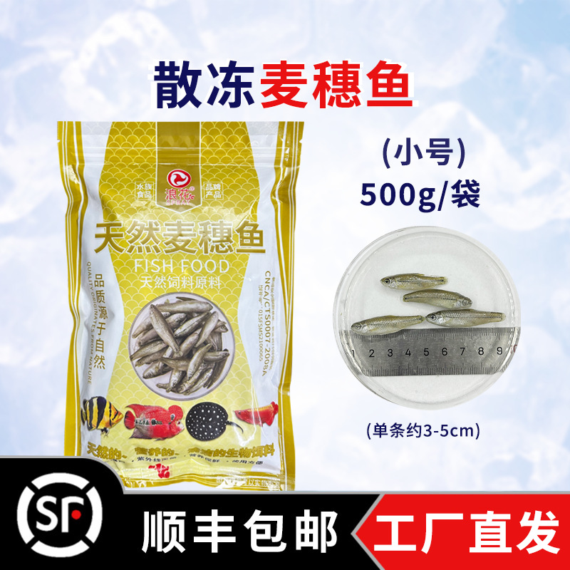 500g cá lúa mì (cỡ nhỏ)