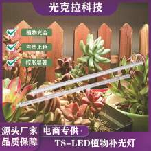 ����30W�Gֲled����ֲ���ȫ���V����ֲ���a�����t8ֲ�����L����