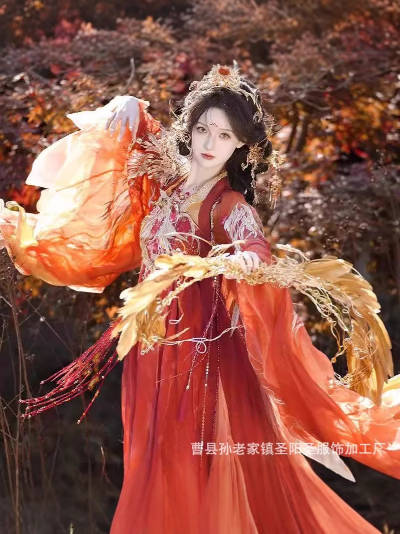 Qadın üçün ənənəvi Hanfu paltarı, naxışlı uzunqol