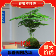 һ�����l̦�\�����������辰�����҃ȿ͏d�k��������С�Gֲ�����