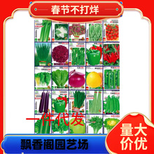 �߲˷N���ļ��̨�r��������˲������˾²�С�[��ݮ���ݴ�ȫ�Nֲ