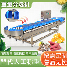 ��Ϡ��ĵϠ�������x�C �������������֒��C �U�~���r���ط��x�C