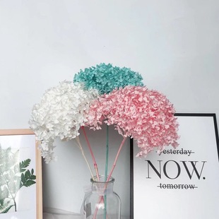 ����������ɻ����� flower�滨�Ĕz����ins���W�Ҿ��b���ɻ�