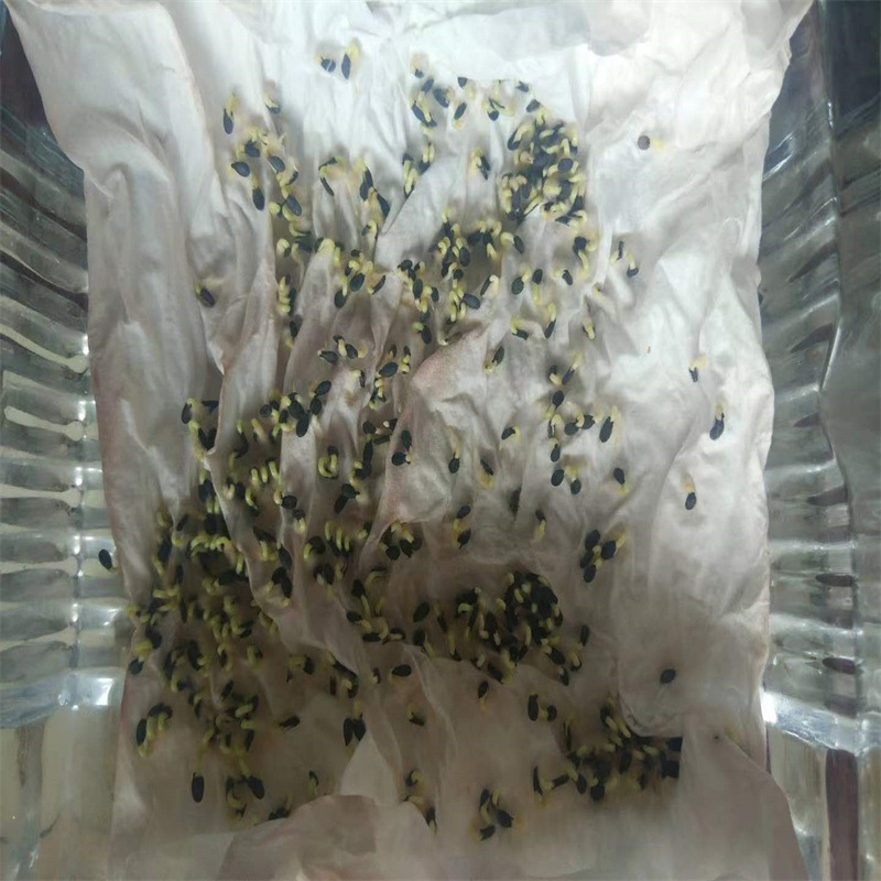 微信图片_20230512113534