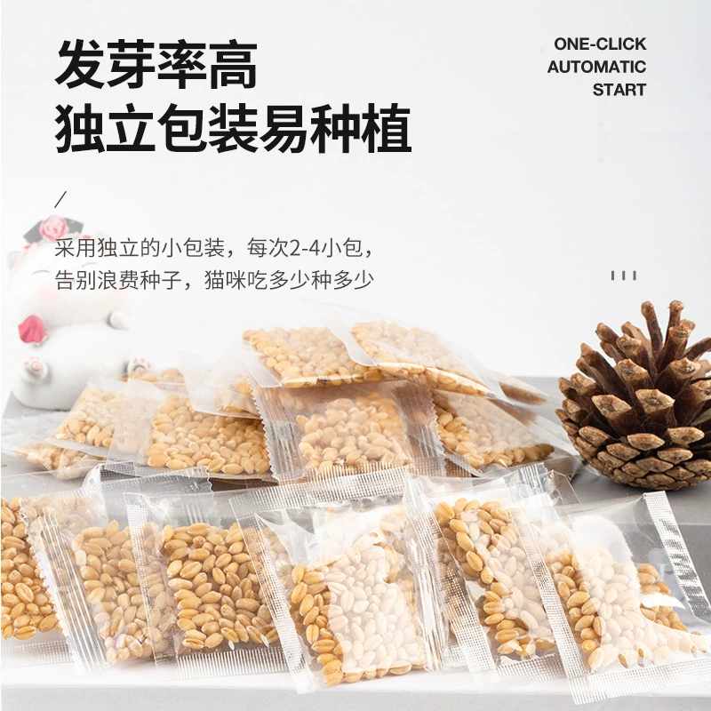 Семена кошачьей травы Пшеничная трава хорошая вода