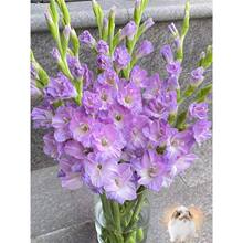 10wbMڄmѷNͥԺͺ͟ỨLㄦm