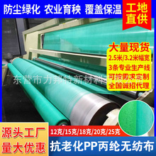 厂家批发工地绿化布 PP丙纶纺粘无纺布 盖土防尘网白色绿色无纺布
