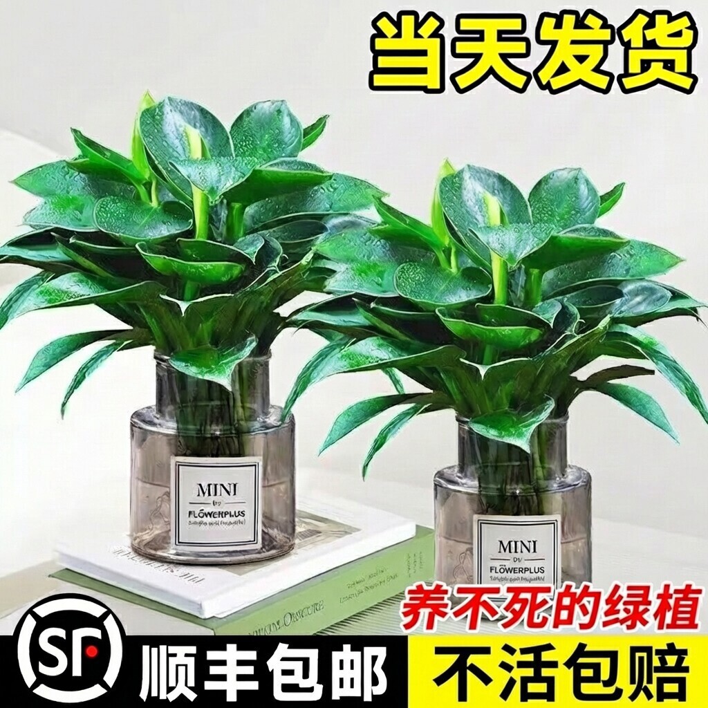 ���~��荾G�������Ԏ��������[ˮ��ֲ���҃Ⱥ��B�͏d��լ�Gֲ�ļ�