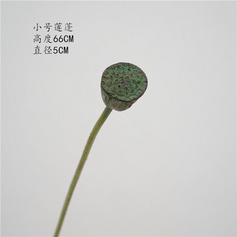 로터스 스몰 사이즈