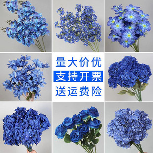 ���R���{ɫ���滨��Y�ò������{ɫ�ٻ����ֱ���g�b廨õ��