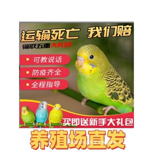 �v��Ƥ�W�^���B��С�͕��fԒ�Č����B�������B���P���BС�B�}