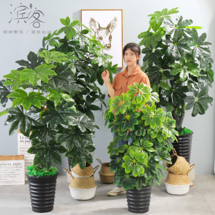 ٘lֲؔԘϼٻ͏d҃ȻbپGֲ