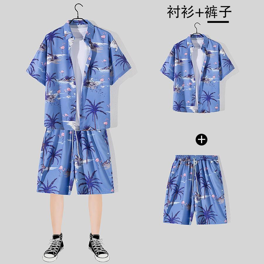 로얄블루 2117 [세트]