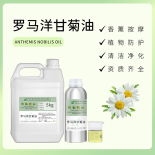 �_�R��ʾ���Chamomile roman oil �η����ͬF؛