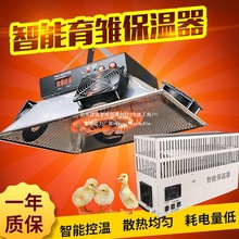 养殖育雏电热伞设备控温保温设备鸡鸭器风炉家禽加温取暖全自动鹅