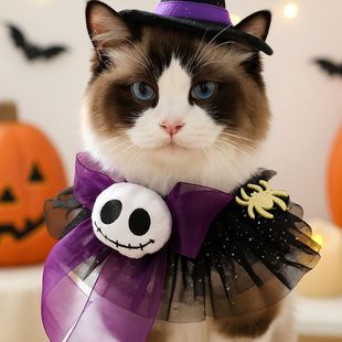 Ready Stock Pet Bibs for Dogs and Cats, Halloween Skull and Spider Neck Collars, Pet Accessories Collection