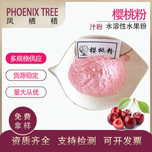 食品级现货 樱桃果粉 水溶喷雾干燥樱桃汁粉 固体饮料原料 樱桃粉