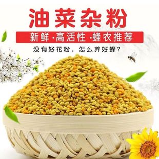 ι���û����Ͳ��s���w���s���۷������Ȼ�仨�۷���Ϸ��Ͳ˻���