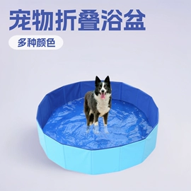 游泳圈;游泳池;宠物浴池
