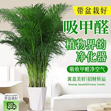 �ļ��������ڸ��FҬ�Ӵ��;Gֲ�����҃ȿ͏d�k���Һ��B�辰����ȩ