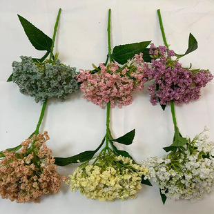 ��ĭ���滨��֧���ӽ���Ҿ��b廨�Ƶ��c���Ô[����ˇ���l