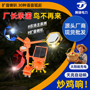 ����߉���B��̫�������B�O����@���B���r��U�������s�B��