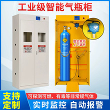 防爆气瓶柜安全柜实验室液化煤气罐氧气报警器乙炔气体柜