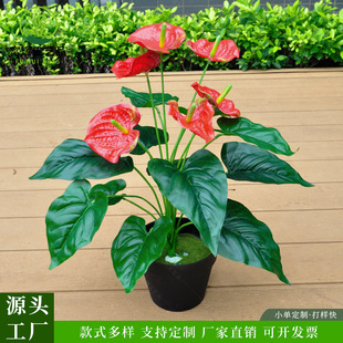 ����Gֲ�t�Ƽٻ��S��ֱ�N�ָ��~�t���~�҃��쾰�b�ֲ����Q��