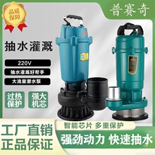 ��������ˮ��220V380V��ˮ���r�ù�ȱü��ô������ߓP�̳�ˮ��