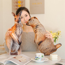 ���ﱧ��3Dë�q������؈�����ϻ��{�Ӄ�ͯ�Y��Ҿ��b[���R