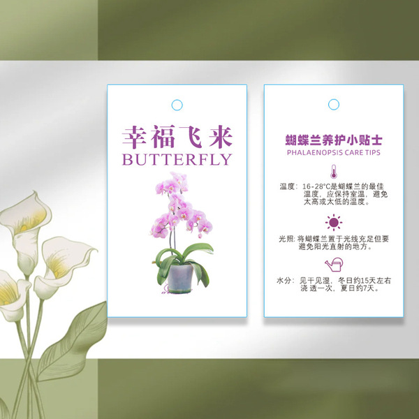 Phalaenopsis plant hanging card