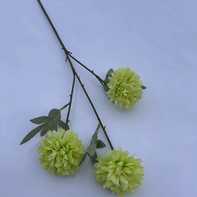 진한 녹색