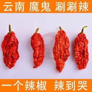 ��ϵº�������������50�˸�؛��������ħ���������������������