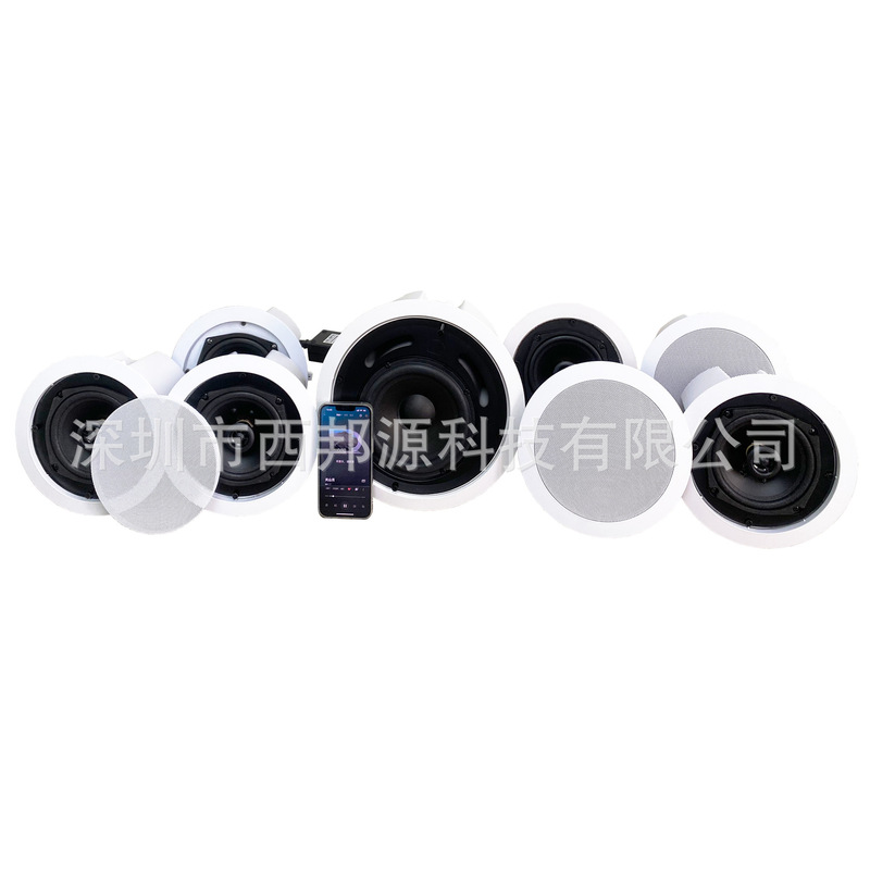 8-Channel 7.1 Wireless Wifi Bluetooth Ceiling Speaker Audio Home Hotel Background Music System
