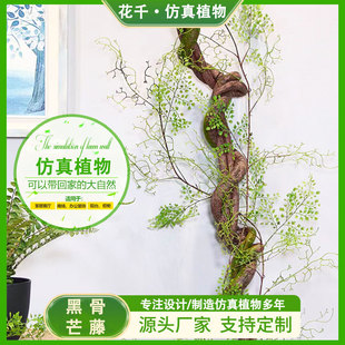 �ڹ�â�ٗl����ֲ���c��Y�����b��滨�ٻ��ҾӒ����������l