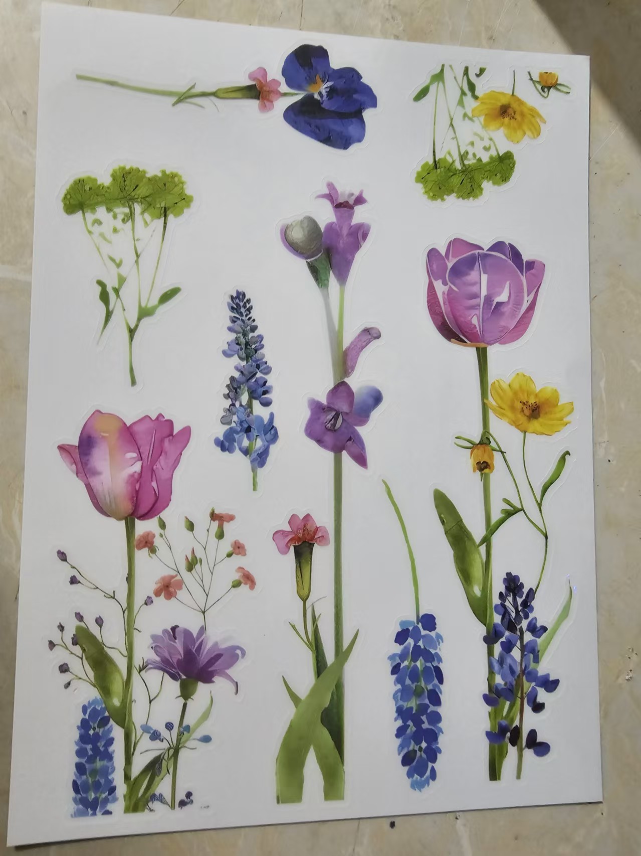 a19f5ca56f65843c726233ae44fadd