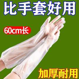 一次性手套加厚长臂女厨房洗碗洗菜家务透明家用卫生餐饮长袖手套