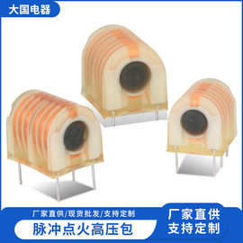 厂家直供脉冲点火高压包电子式点火器高压包升压脉冲发生器电路