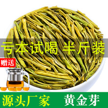 2025新茶安吉特产白茶新茶明前黄金芽茶叶牙尖正宗绿茶散装250g