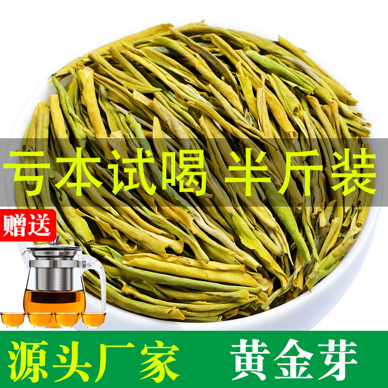 2025新茶安吉特产白茶新茶明前黄金芽茶叶牙尖正宗绿茶散装250g