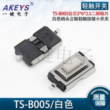 TS-B005  3X6X2.5 оp| ΢_P3*6*2.5NƬ @߰o