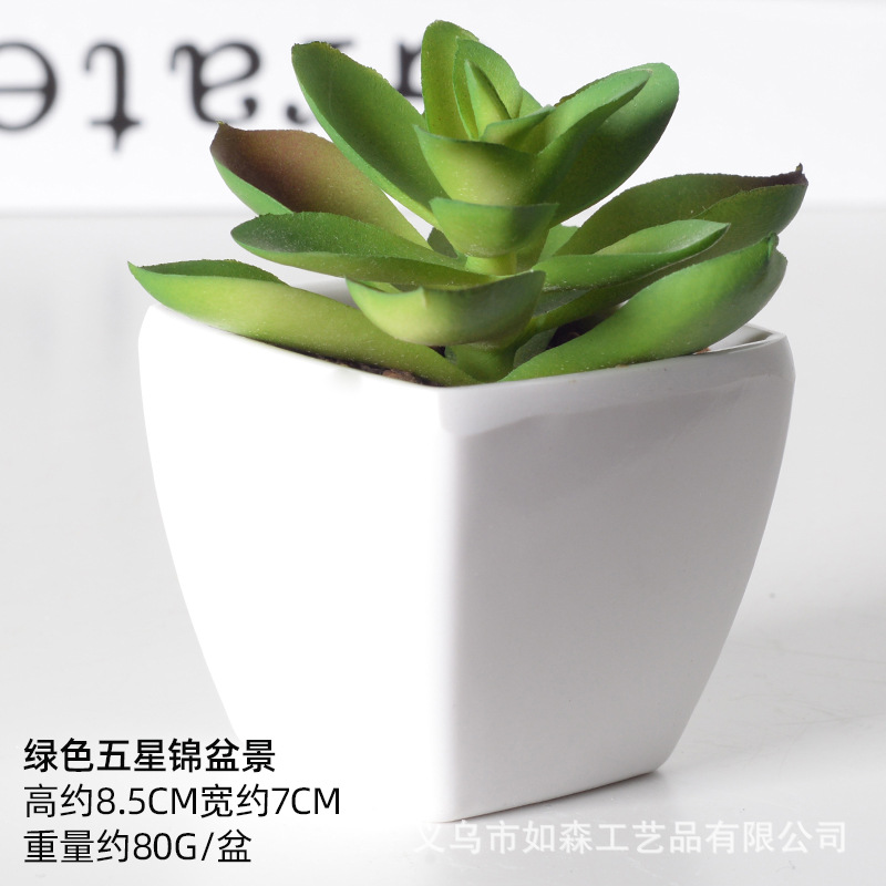 Simulación de plástico carnoso bonsai flor falsa combinación oficina interior escritorio plantas verdes pequeños adornos plantas artificiales al por mayor image 36