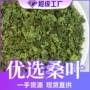 原产地量大定制颗粒桑叶茶