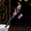 Shengxiaguangnian