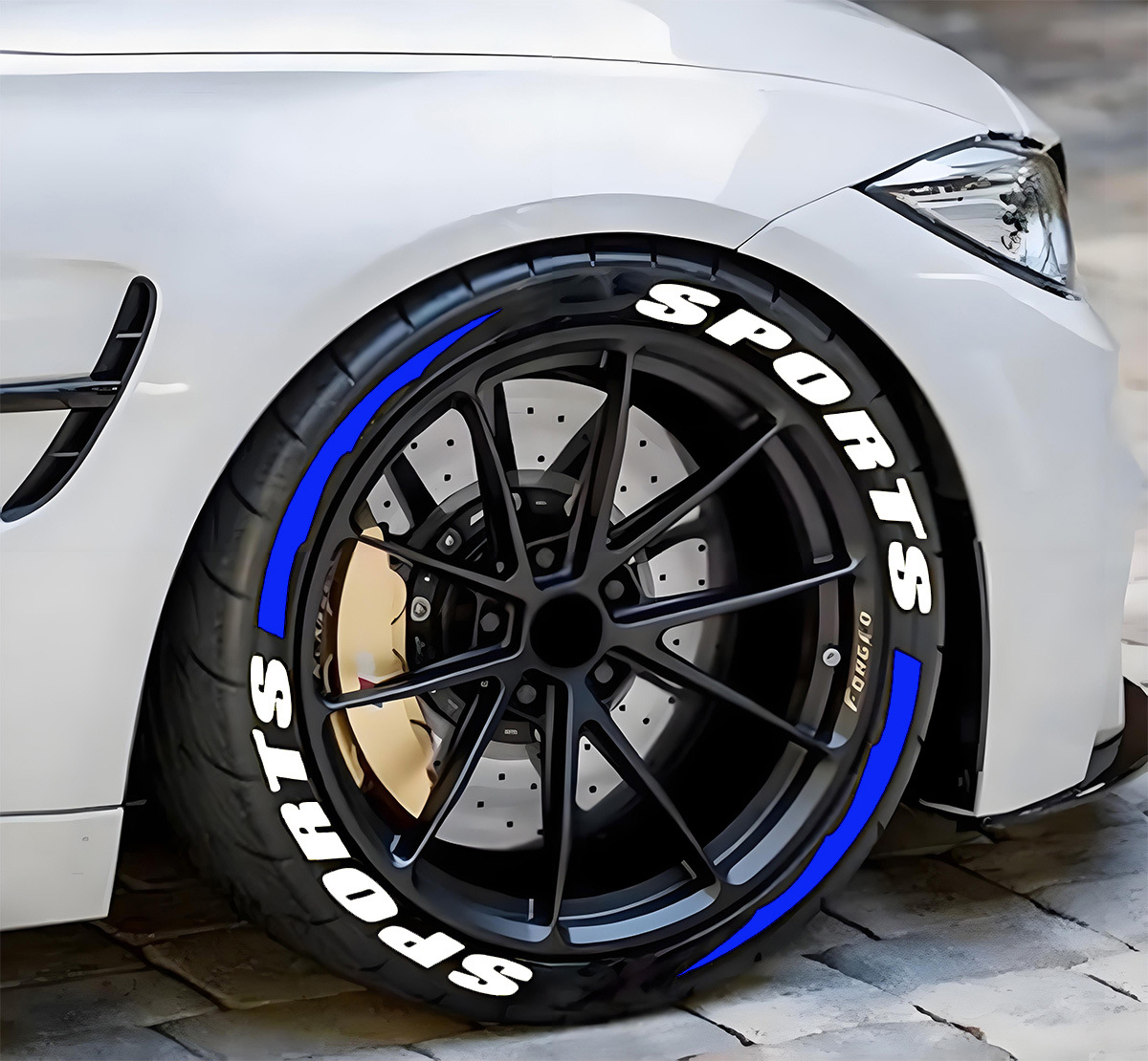 스포츠 화이트 + 블루 늑대 이빨