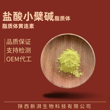 黄连素97% 脂质体盐酸小檗碱 磷脂纳米包裹盐酸小檗碱脂质体 现货