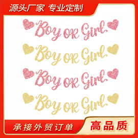 跨境婴儿派对用品Boy or Girl 拉花金葱闪粉性别揭示横幅装饰布置