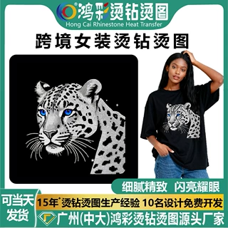 跨境新款服饰烫钻烫图手工设计图厂家小额批发T裇烫钻DIY配件烫图